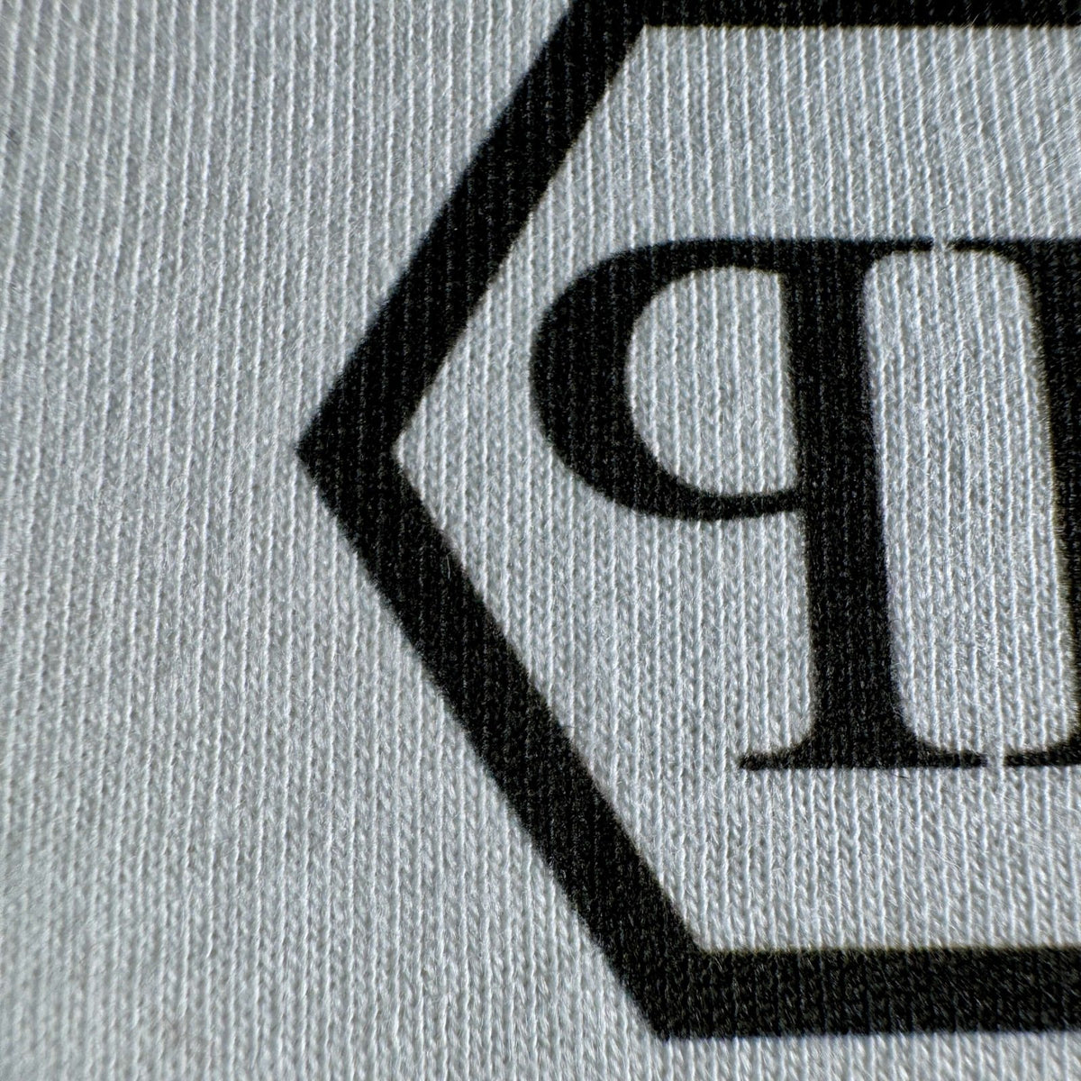 Close-up of the Private Pilot logo print